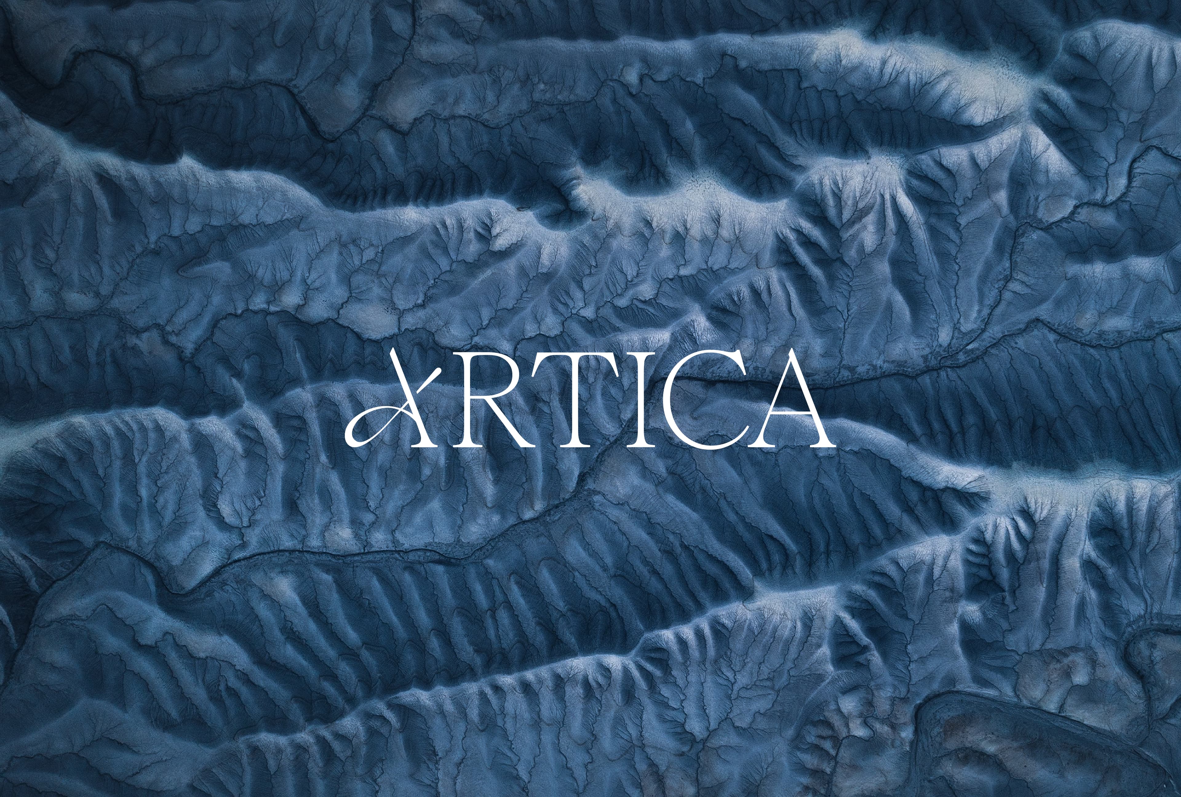 Ártica Helados Mesa de trabajo 1