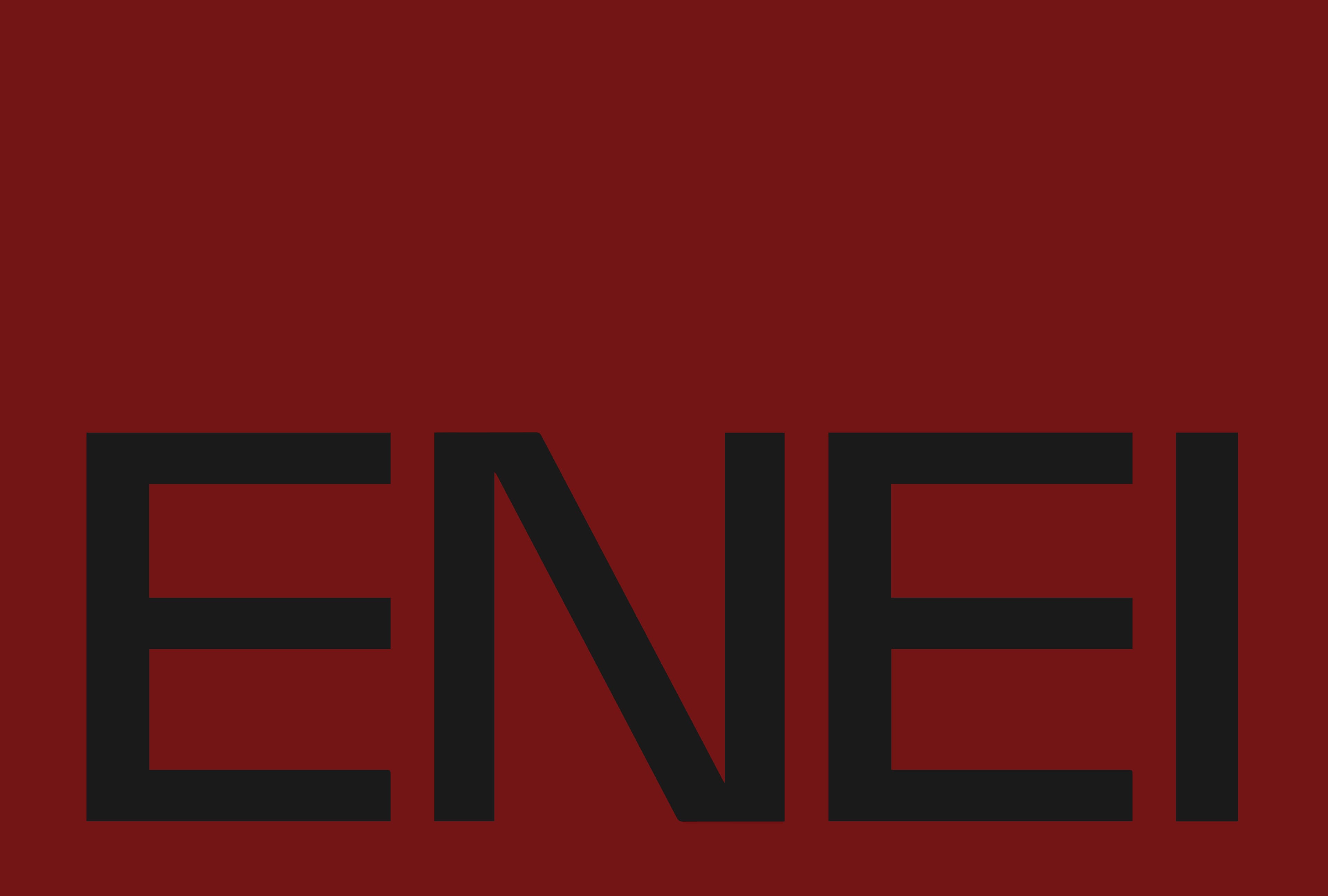 ENEI Mesa de trabajo 1 copia 3