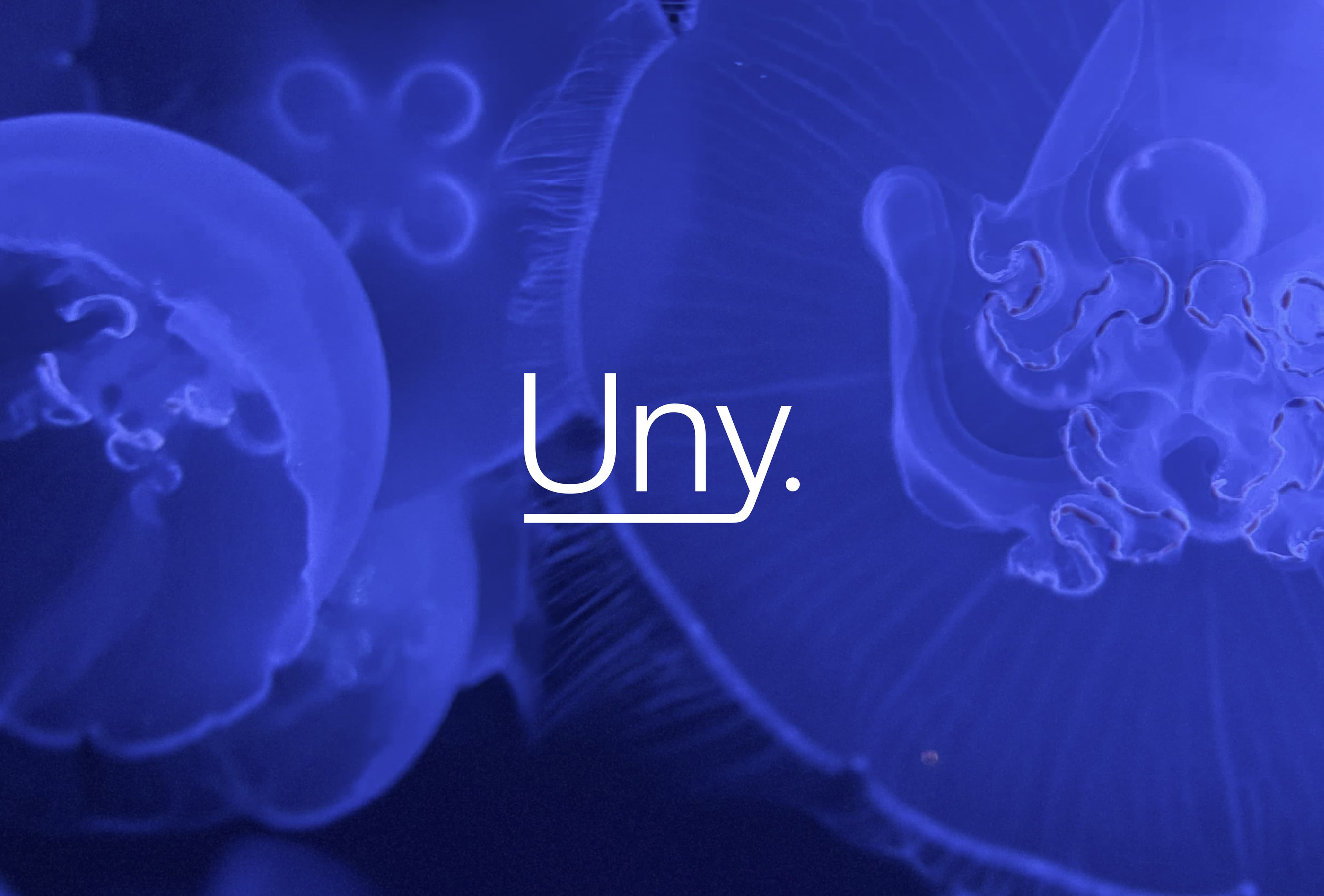 Uny Mesa de trabajo 1 copia 6